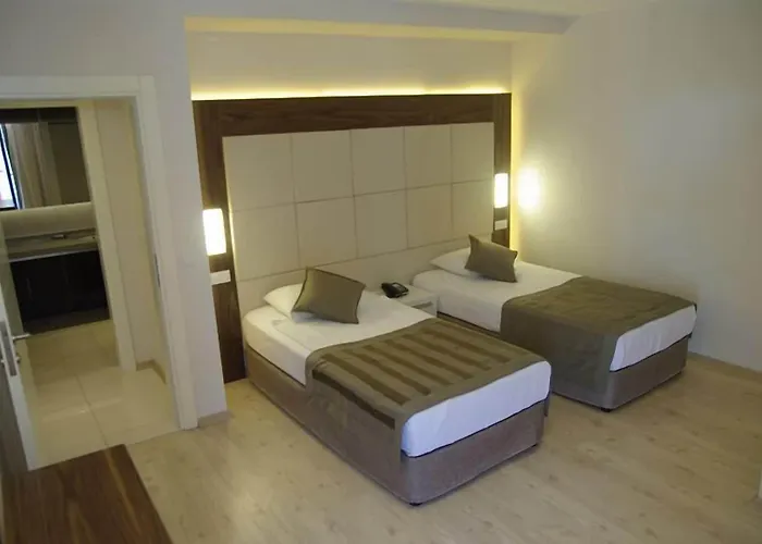 Delfino アランヤ